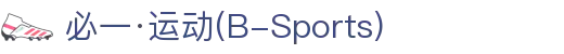 必一·运动(B-Sports)官方网站